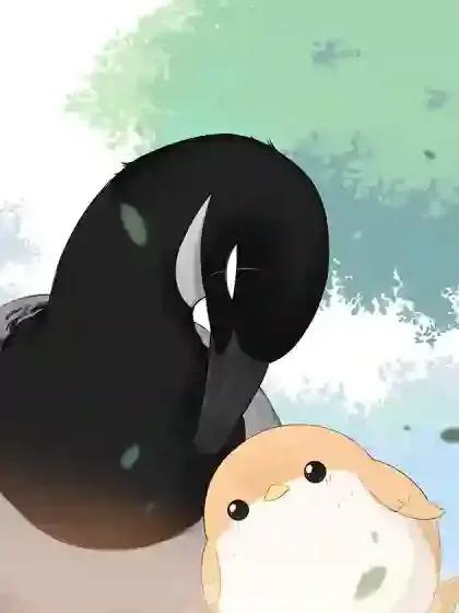 wuliandianfeng-pikapi