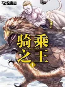wuliandianfeng-pikapi